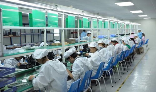 婆婆的大寿转账风波